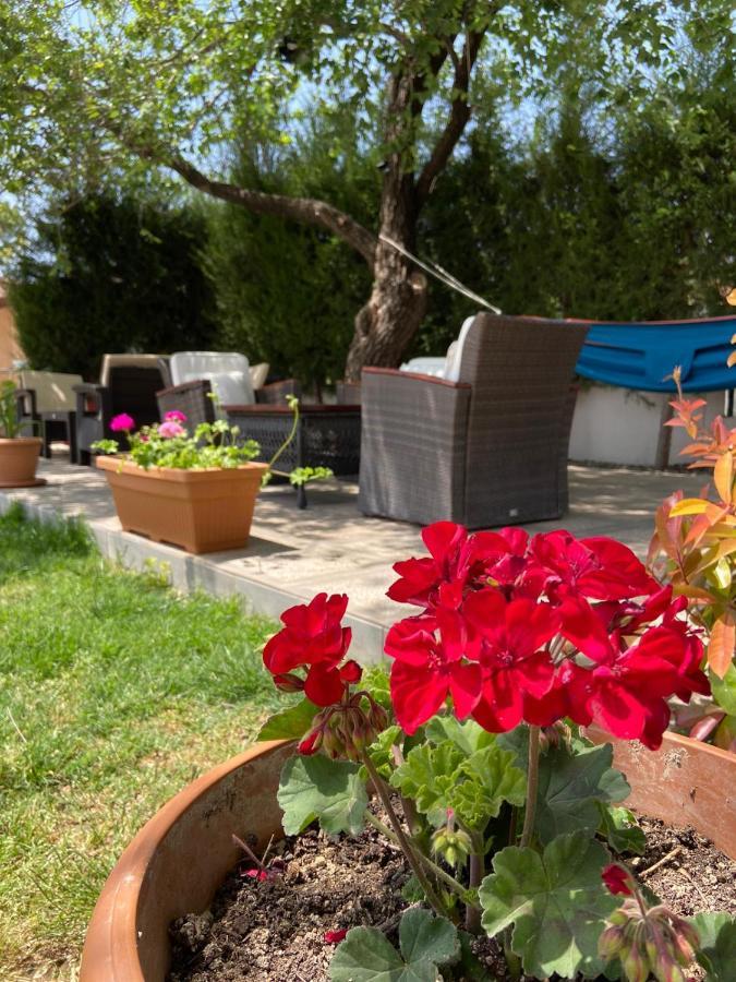 Safak Apart & Hotel Dalyan Zewnętrze zdjęcie